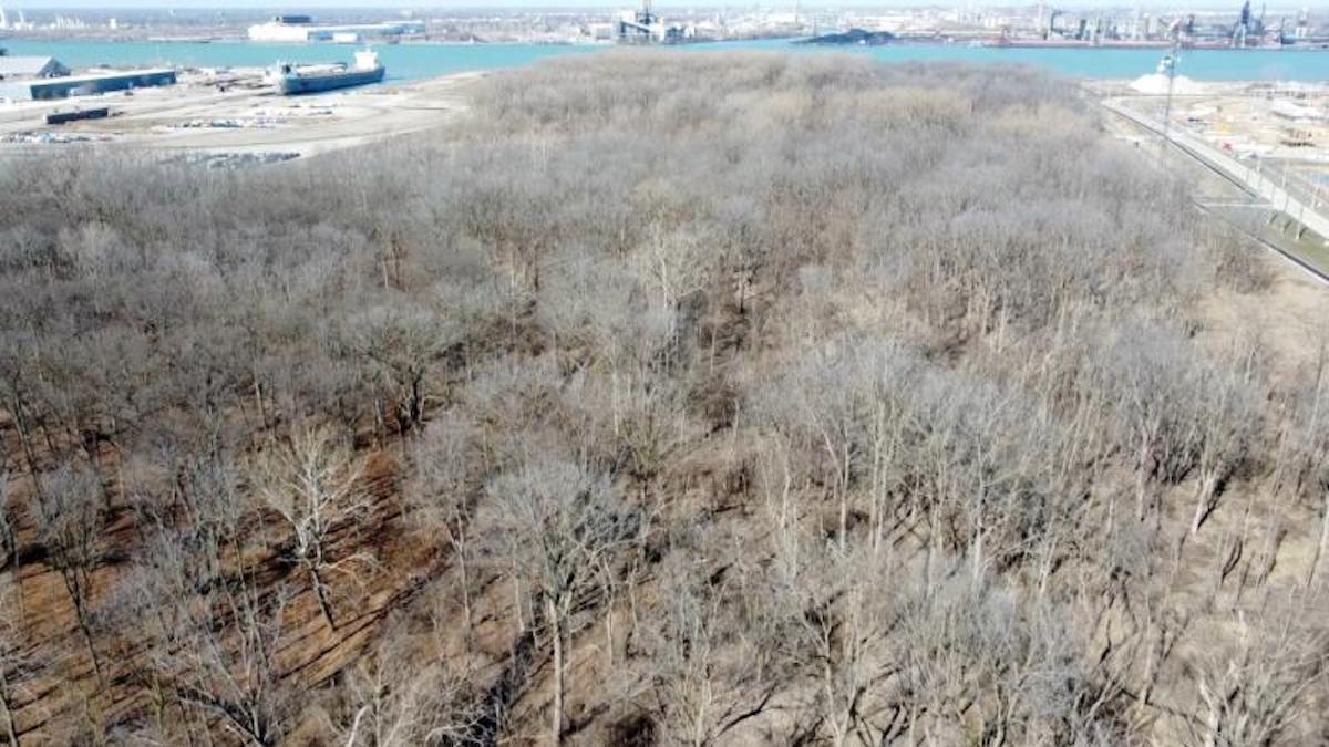 The Ojibway Shores land was originally earmarked for industrial development.