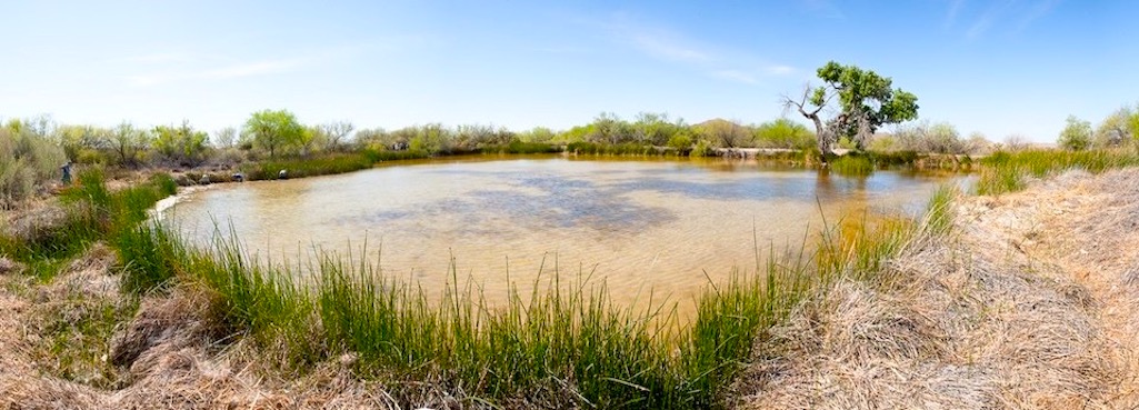 A new liner is needed for Quitobaquito Pond at Organ Pipe Cactus National Monument/NPS file
