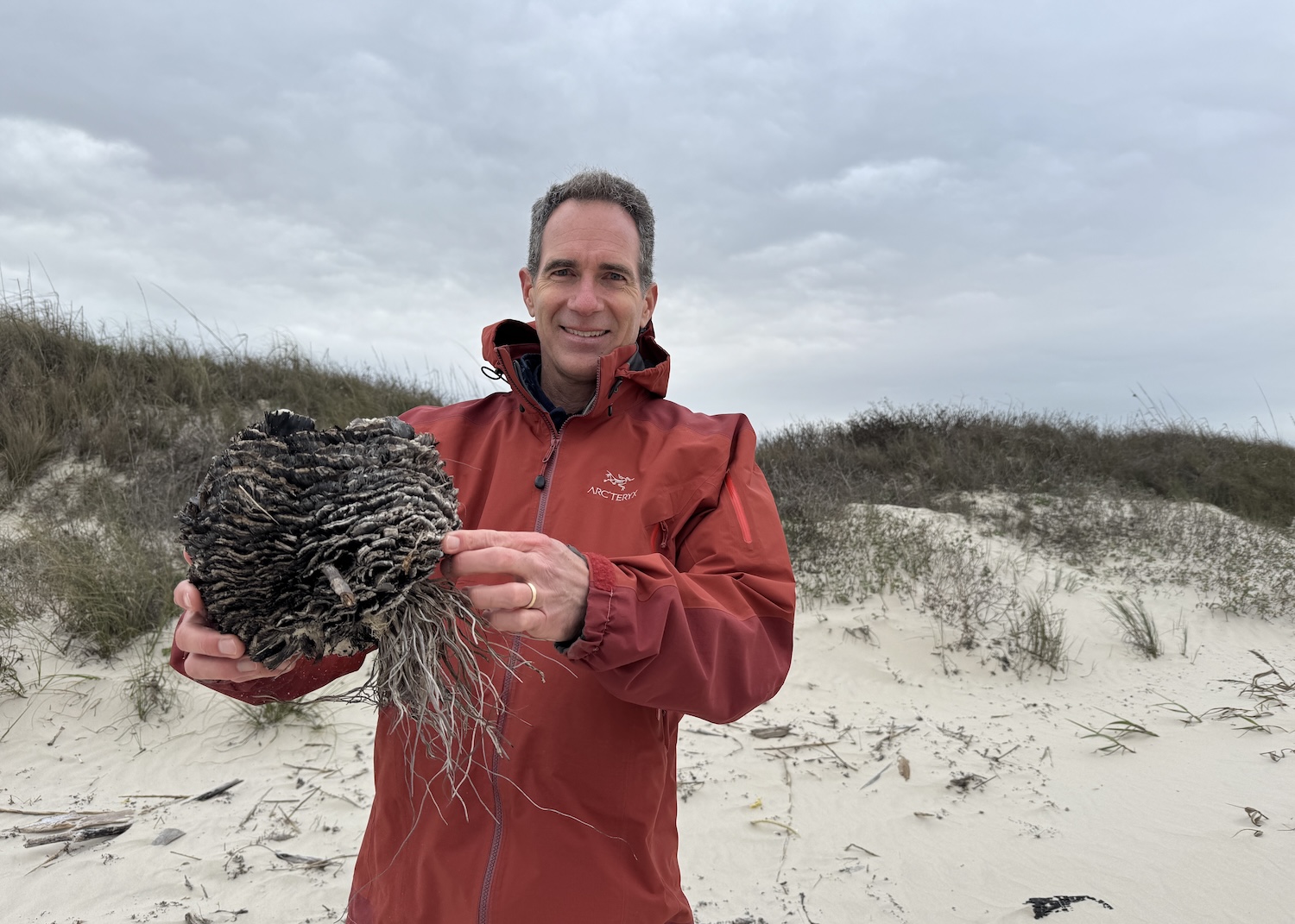 Harte Research Institute's Jace Tunnell, who has a Beachcombing series on YouTube, finds something on Malaquite Beach that he can't instantly identify. Harte Research Institute's Jace Tunnell, who has a Beachcombing series on YouTube, finds something on Malaquite Beach that he can't instantly identify.