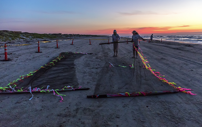 Unfurling the nets, Padre Island National Seashore / Rebecca Latson Unfurling the nets, Padre Island National Seashore / Rebecca Latson