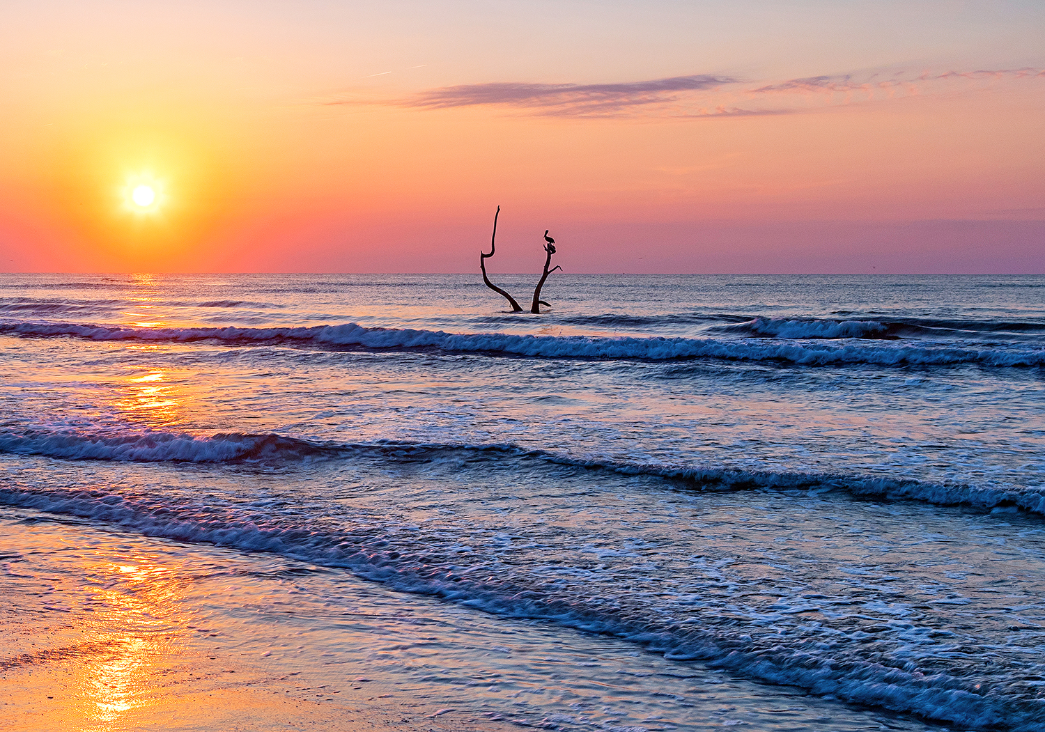 Sunrise at Padre Island National Seashore / Rebecca Latson Sunrise at Padre Island National Seashore / Rebecca Latson