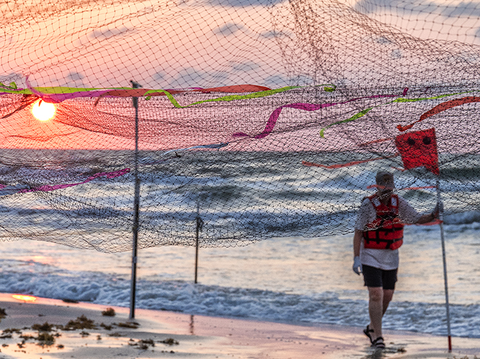Flagger and nets at sunrise, Padre Island National Seashore / Rebecca Latson Flagger and nets at sunrise, Padre Island National Seashore / Rebecca Latson