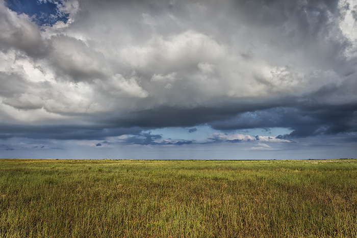 Prairie grassland, Padre Island National Seashore / Rebecca Latson Prairie grassland, Padre Island National Seashore / Rebecca Latson