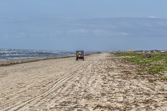 Sea Turtle Patrol, Padre Island National Seashore / Rebecca Latson Sea Turtle Patrol, Padre Island National Seashore / Rebecca Latson