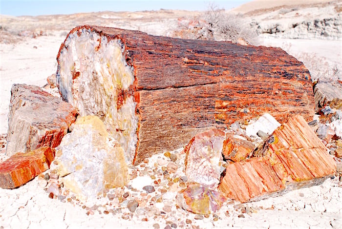 Petrified log at Petrified Forest National Park/Kurt Repanshek Petrified log at Petrified Forest National Park/Kurt Repanshek