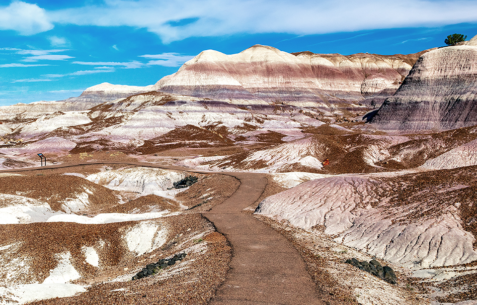 The view along the Blue Mesa Trail, Petrified Forest National Park / Rebecca Latson