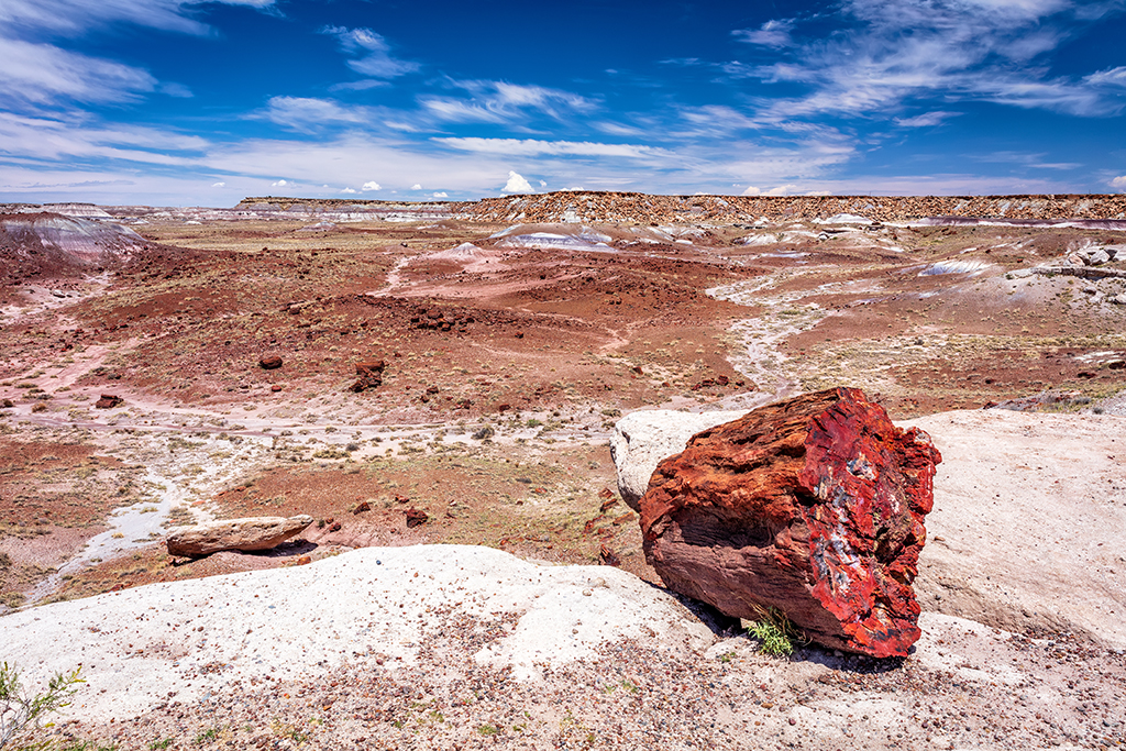 The wide-open scenery of Petrified Forest National Park / Rebecca Latson The wide-open scenery of Petrified Forest National Park / Rebecca Latson