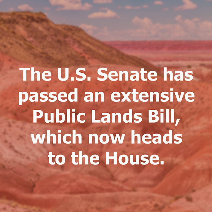 Instagram marquee with text advertising one of the Traveler's articles, Petrified Forest National Park background / Rebecca Latson