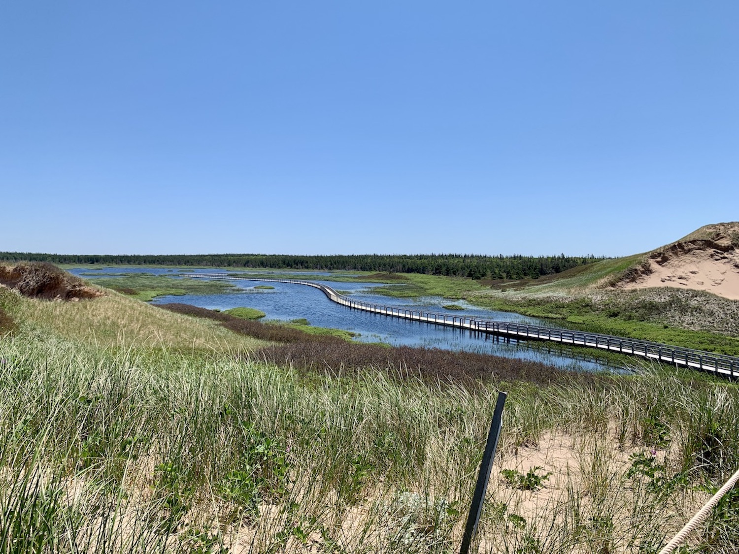 A view of the floating boardwalk on the Greenwich Dunes Trail. A view of the floating boardwalk on the Greenwich Dunes Trail.