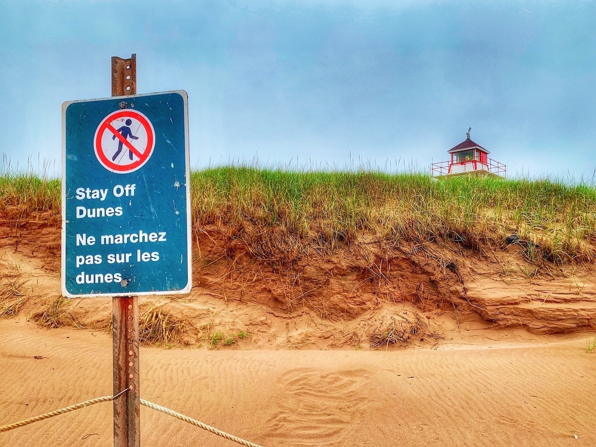 In mid-2022, Prince Edward Island National Park roped off certain parts of its fragile sand dunes. In mid-2022, Prince Edward Island National Park roped off certain parts of its fragile sand dunes.
