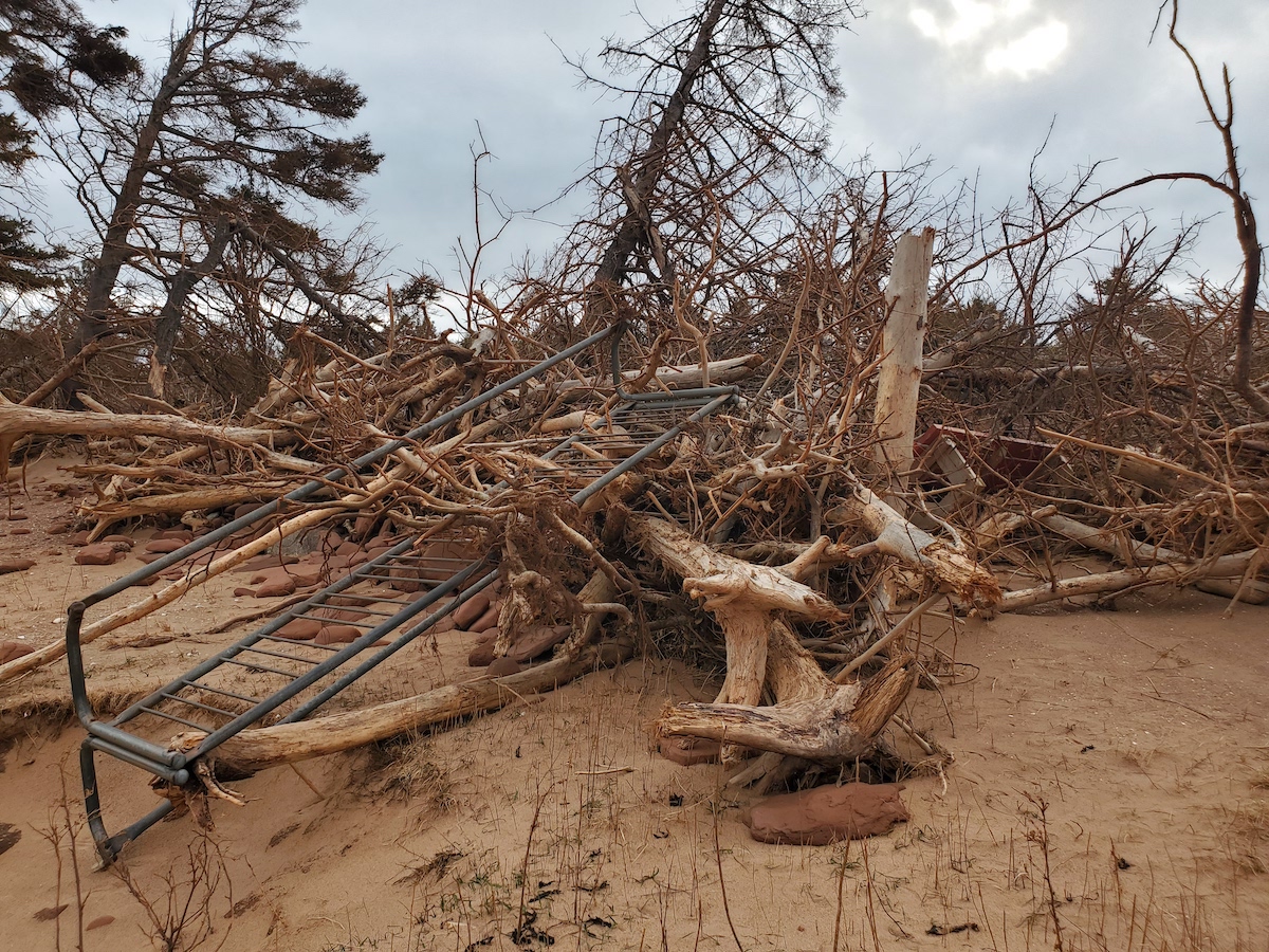 Trees along Robinsons Island trail system have been uprooted. Trees along Robinsons Island trail system have been uprooted.
