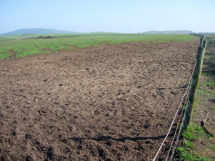 Fence line in pastoral zone of Point Reyes National Seashore/Karen Klitz