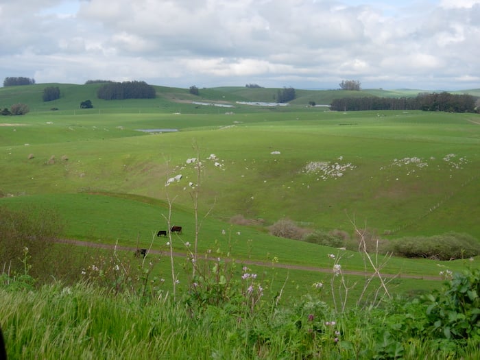 Pastoral zone of Point Reyes National Seashore/Karen Klitz Pastoral zone of Point Reyes National Seashore/Karen Klitz
