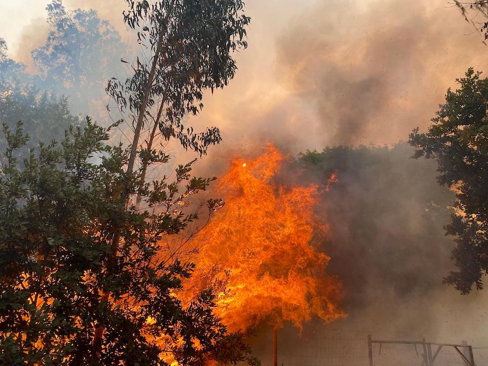 The Woodward Fire was burning in a portion of Point Reyes National Seashore that had not burned recently/NPS