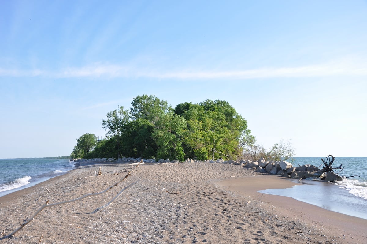 Point Pelee National Park is a hotspot for migratory birds.