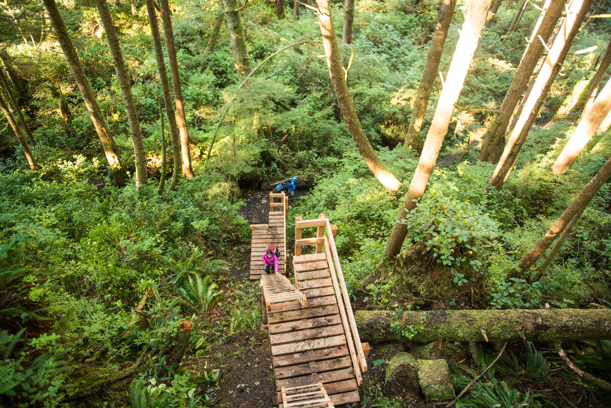 Multi-level ladders are one challenge on the West Coast Trail. Multi-level ladders are one challenge on the West Coast Trail.
