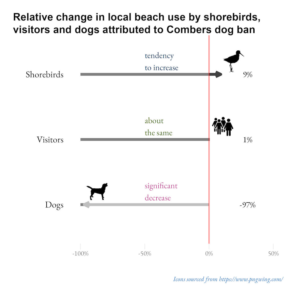 This graphic shows the change in Combers beach use by shorebirds, visitors and dogs during a seasonal ban in 2022. This graphic shows the change in Combers beach use by shorebirds, visitors and dogs during a seasonal ban in 2022.
