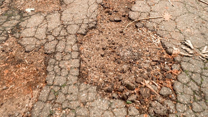 Roads in Prince William Forest Park are crumbling away/NPS