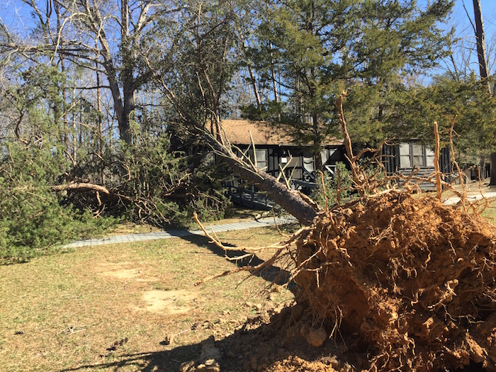 Cabins at Prince William Forest Park were damaged by trees downed by Winter Storm Riley/NPS