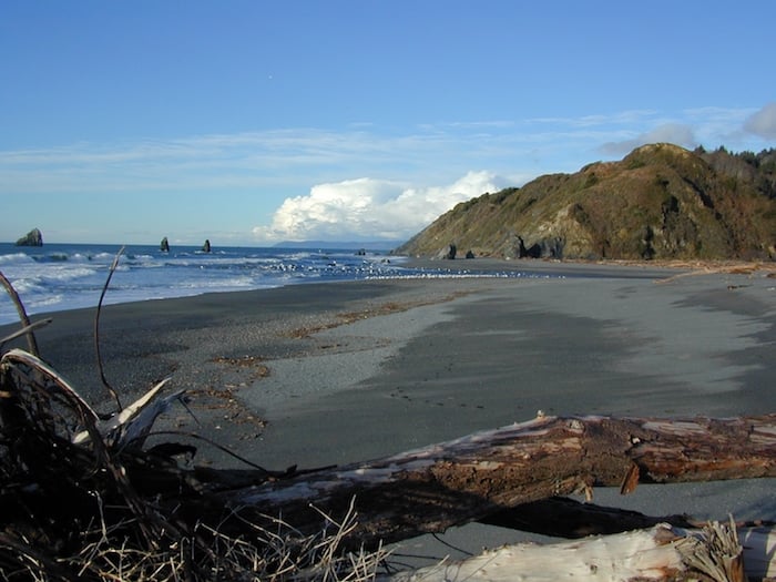 Redwood Creek empties into the Pacific Ocean/NPS