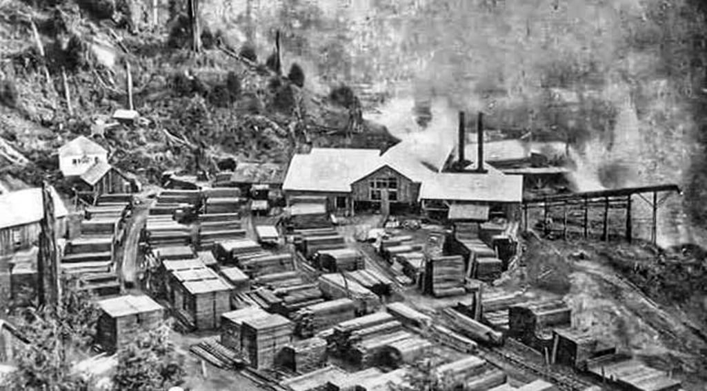 Falk Lumber Company ca 1897, Redwood National and State Parks / BLM Falk Lumber Company ca 1897, Redwood National and State Parks / BLM