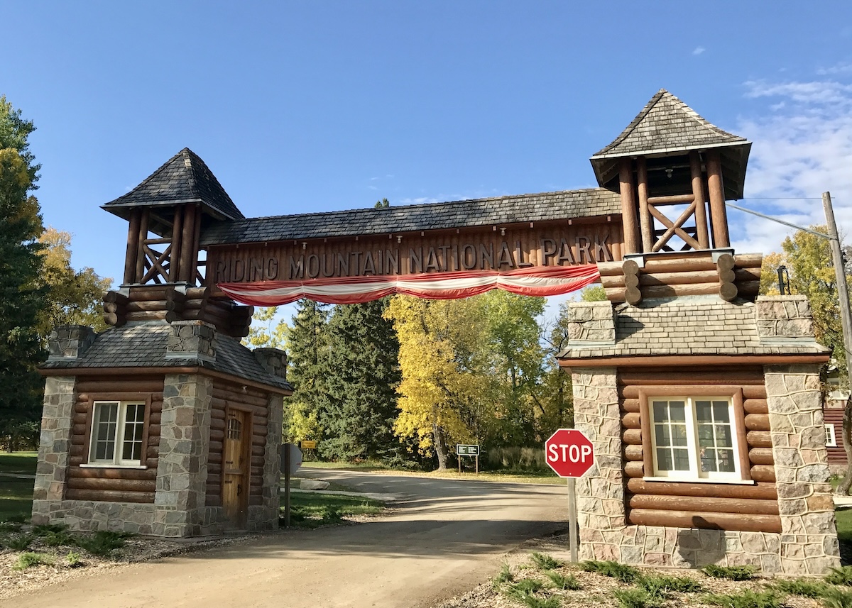 Live zebra mussels have been found in Riding Mountain National Park in Manitoba.