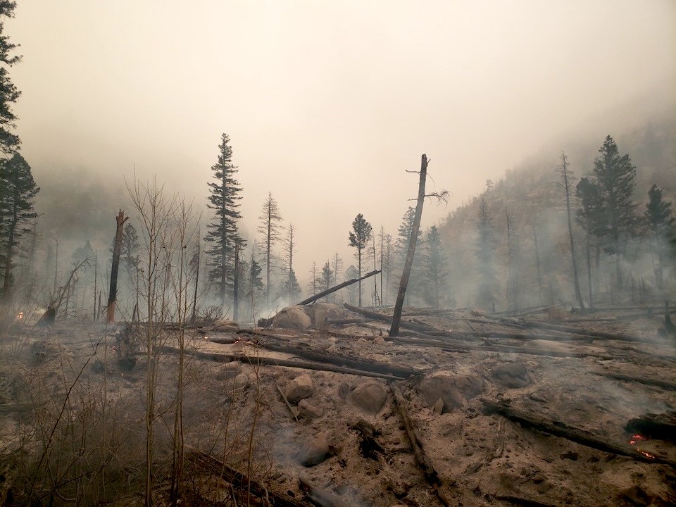 The landscape at the confluence of the Spruce and Forest canyons were ignited by embers that traveled roughly 1.5 miles from the East Troublesome Fire/NPS