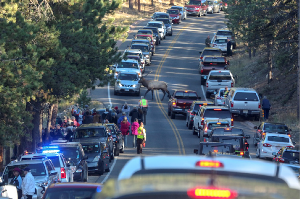Rocky Mountain National Park officials are searching for solutions to overcrowding and congestion in the park/NPS file Rocky Mountain National Park officials are searching for solutions to overcrowding and congestion in the park/NPS file