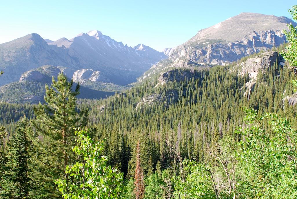 Legislation that has cleared the Colorado Legislature could return wolverines to Rocky Mountain National Park/Kurt Repanshek file