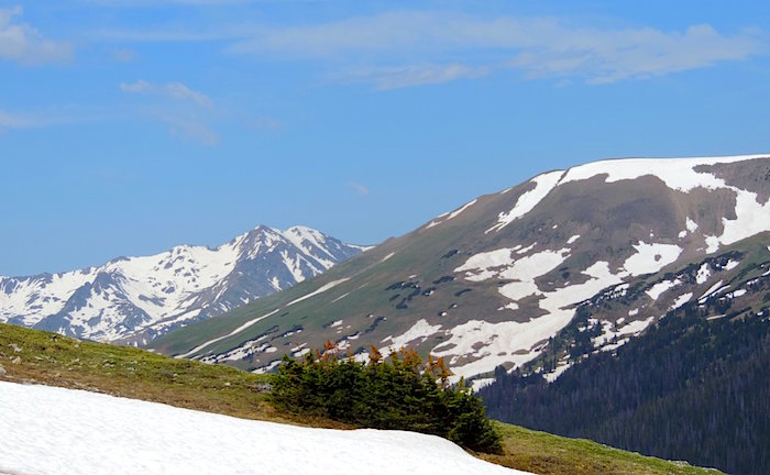 Open tundra on the roof of Rocky Mountain National Park/Kirby Adams