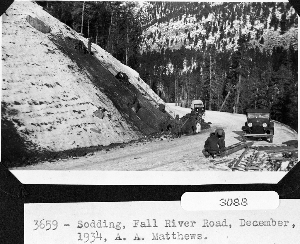CCC workers sodding Fall River Road 1934, Rocky Mountain National Park / NPS-A. A. Matthews
