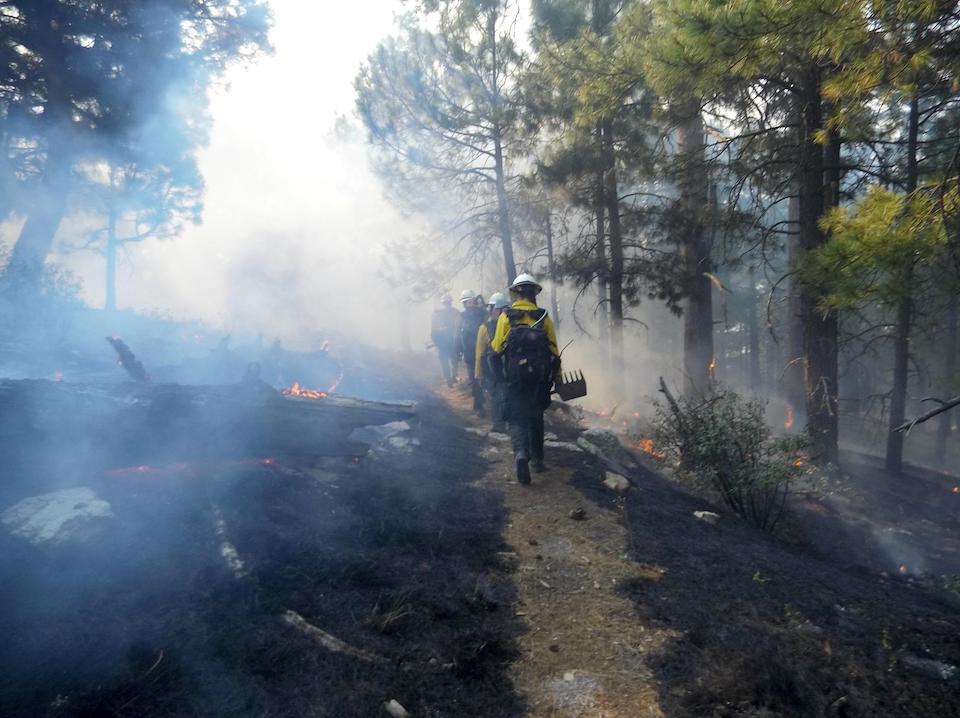 Firefighters on the line at the Spud Rock Fire in Saguaro National Park/NPS