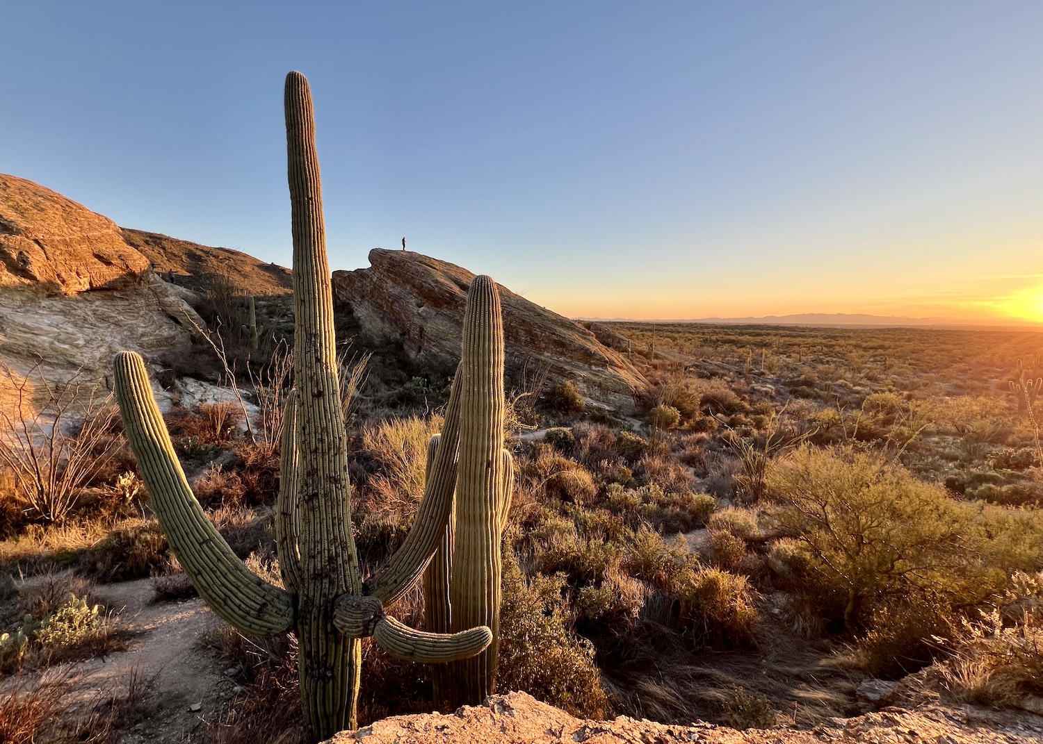 A man stands on the Javelina Rocks at sunset in Saguaro National Park. A man stands on the Javelina Rocks at sunset in Saguaro National Park.