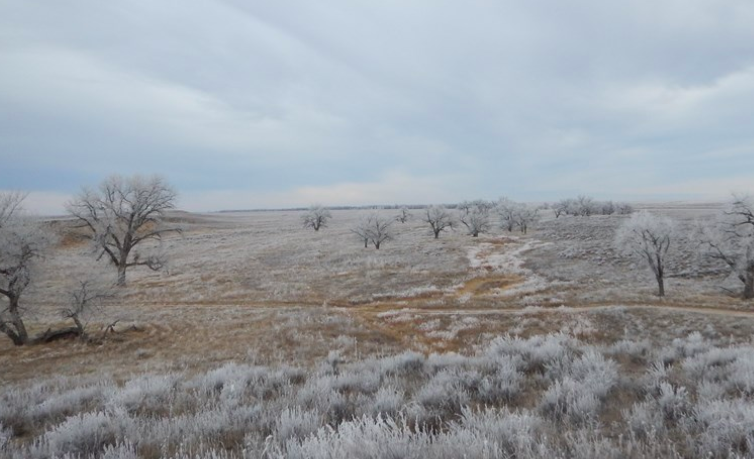 Sand Creek Massacre National Historic Site, nature, colorado, national park, historic site
