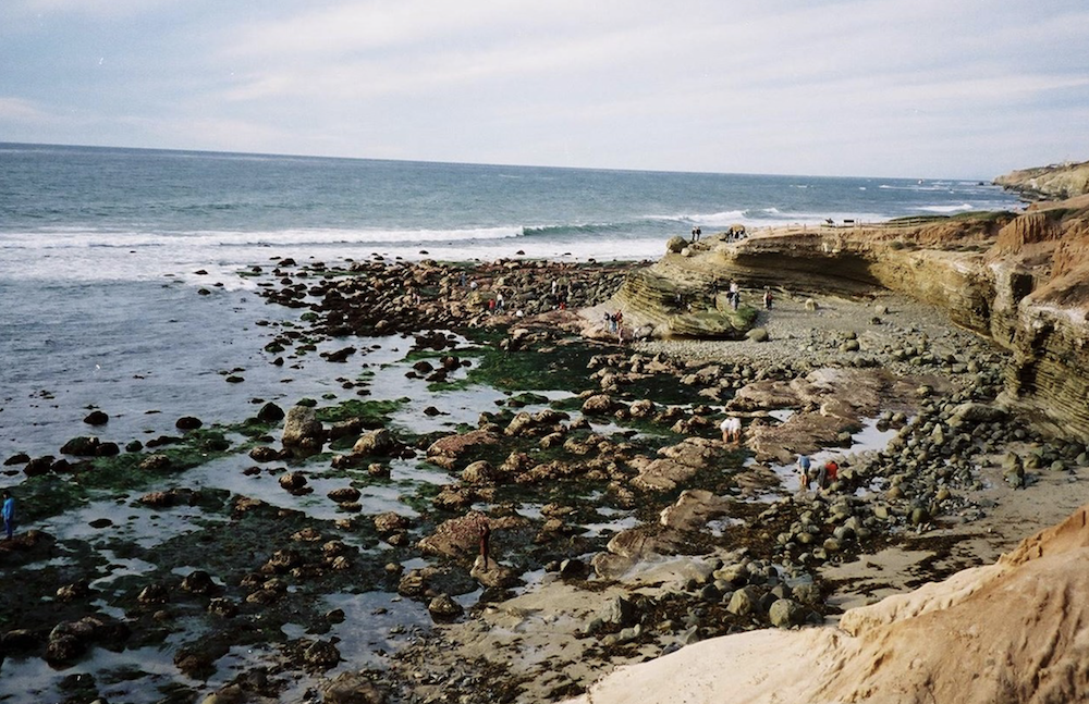 Cabrillo National Monument tide pools / NPS Cabrillo National Monument tide pools / NPS