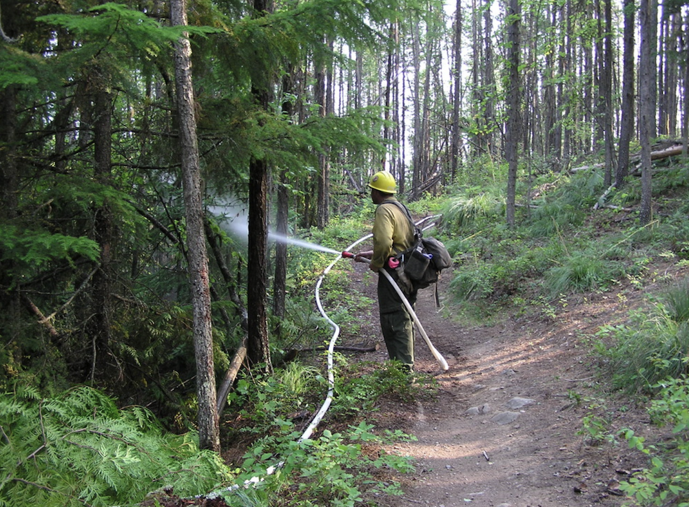 Firefighter at Glacier National Park / NPS Firefighter sprays a line of trees with a hose