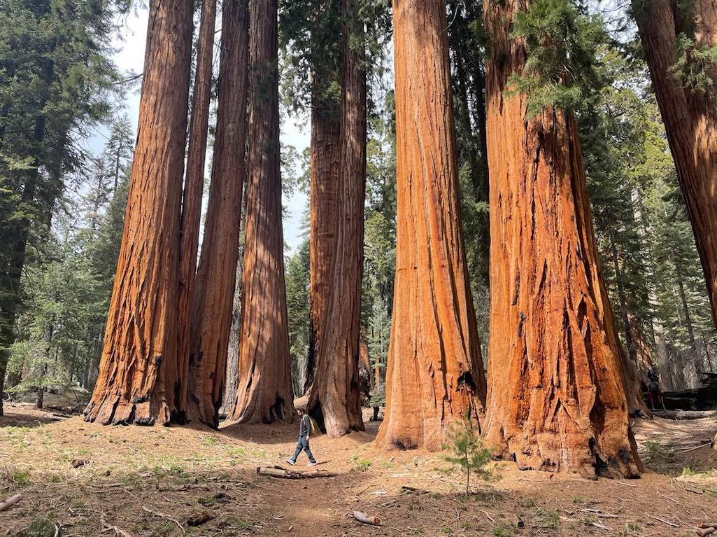 Sequoia and Kings Canyon national park staff are setting out to develop a visitor use management plan/NPS file