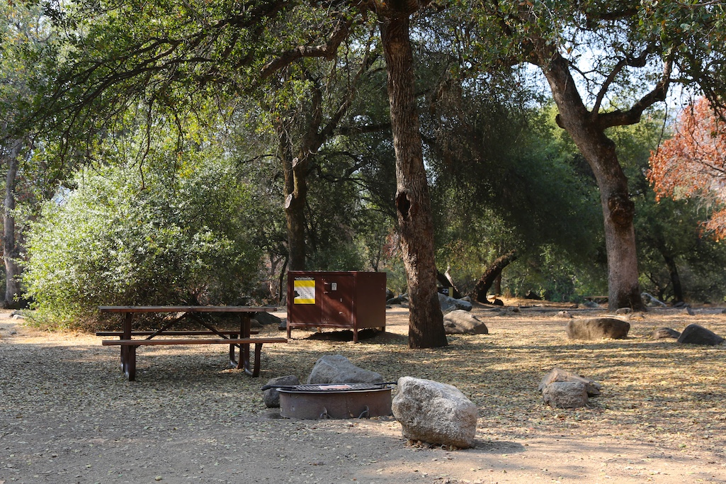 Dry forest conditions have led to fire restrictions at Sequoia and Kings Canyon national parks/NPS file