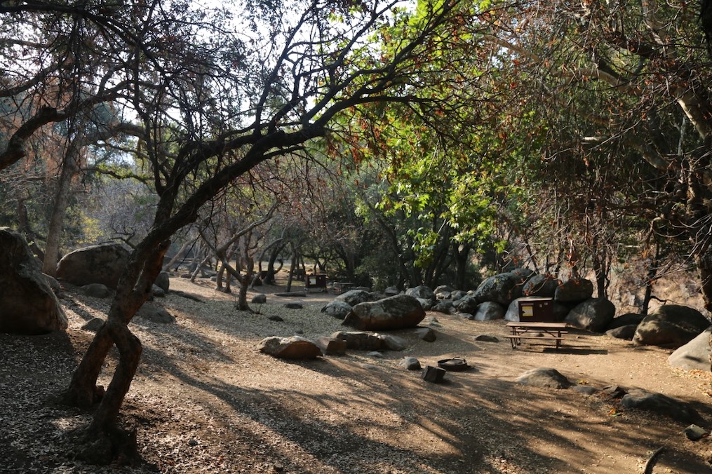 Camping in Sequoia and Kings Canyon national parks will require reservations this year/NPS file Camping in Sequoia and Kings Canyon national parks will require reservations this year/NPS file