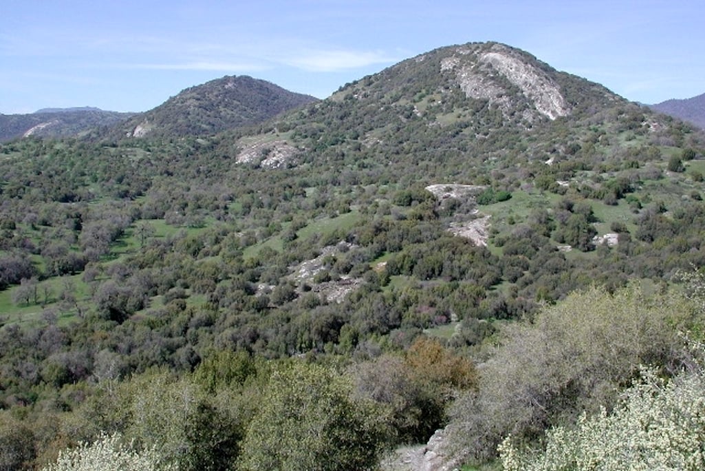 Vegetation in the Foothills area of Sequoia and Kings Canyon national parks is dangerously dry, according to park staff/NPS file Vegetation in the Foothills area of Sequoia and Kings Canyon national parks is dangerously dry, according to park staff/NPS file