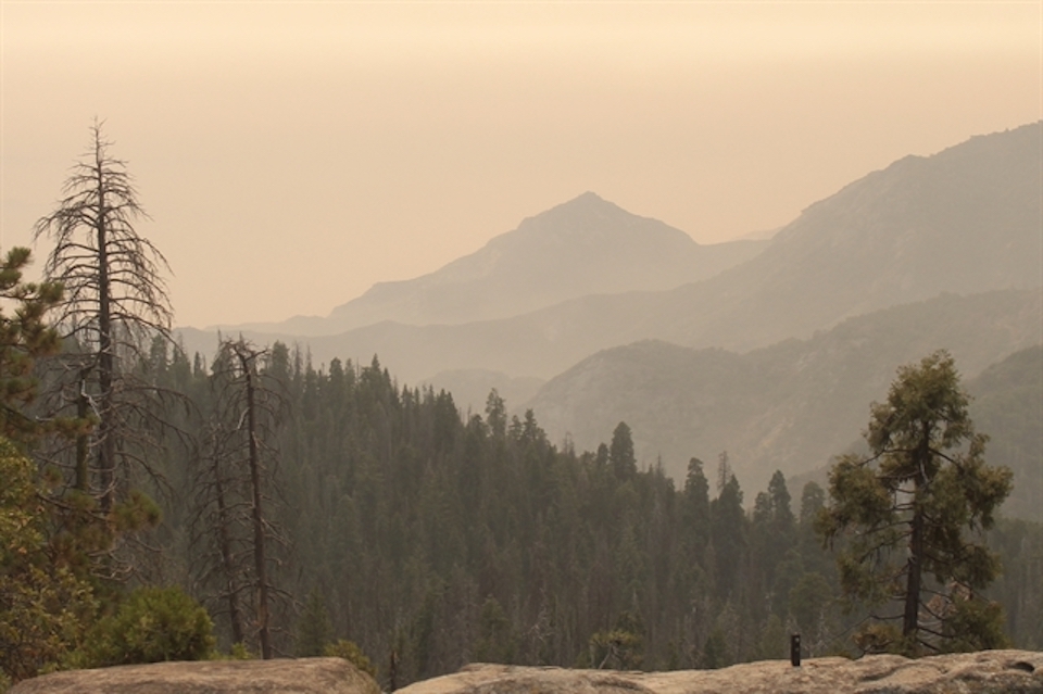 The view from the Giant Forest webcam on Sunday was hazy/NPS webcam