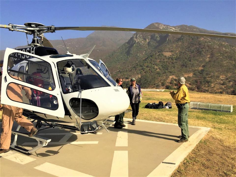 Mississippi woman found alive in Sequoia National Park/NPS