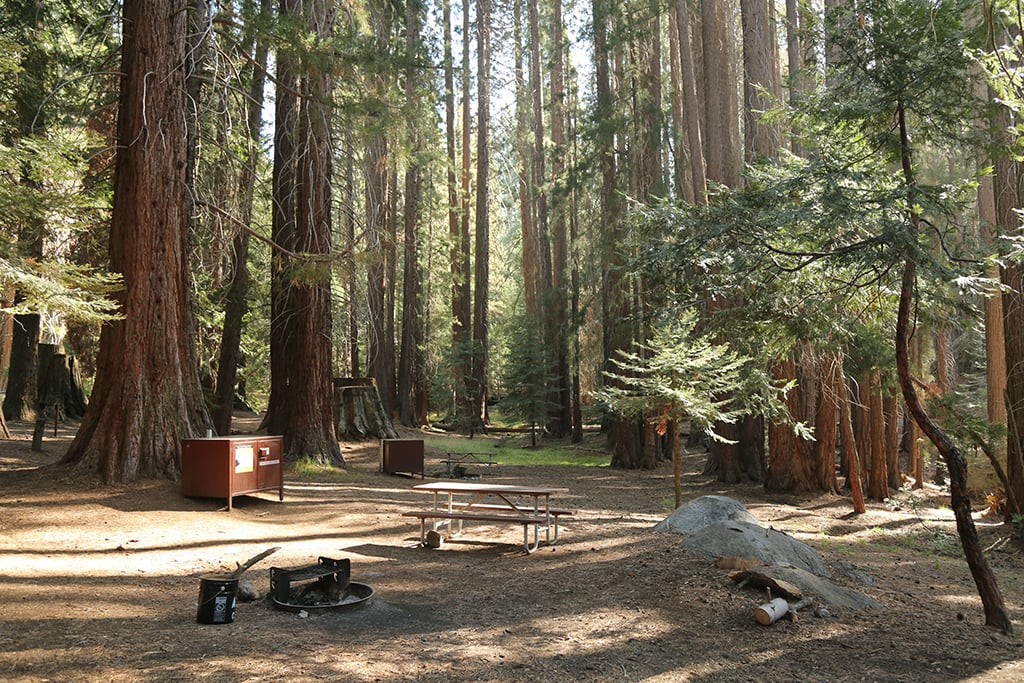 Camping At Sequoia And Kings Canyon National Parks