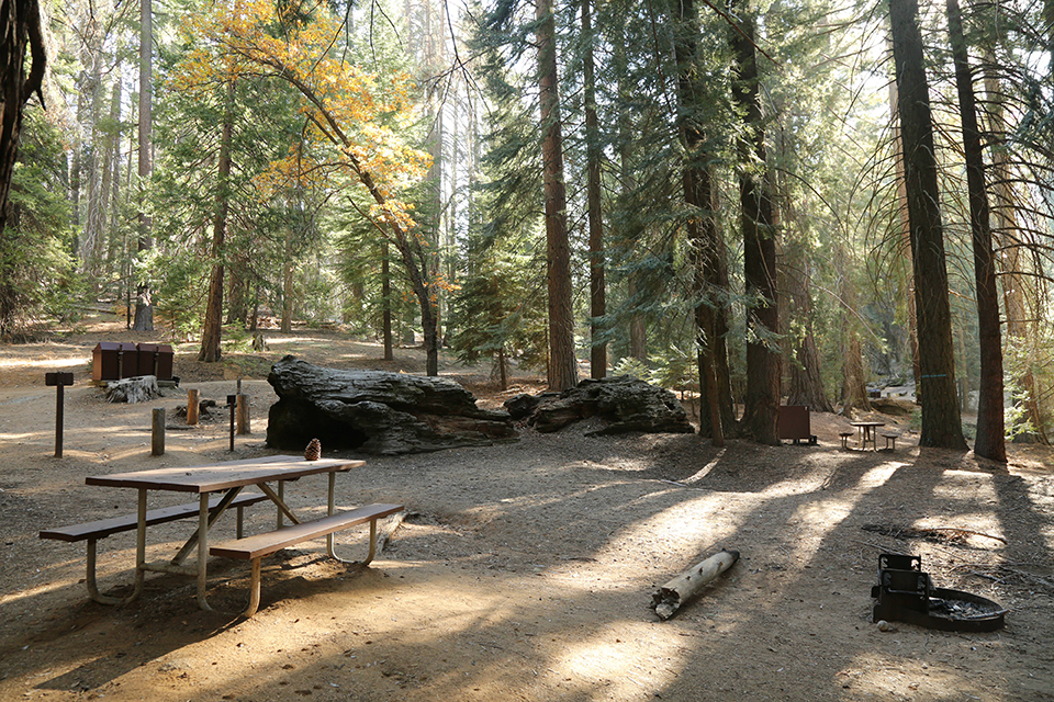 Campground fees might be a little higher in 2023 at Sequoia and Kings Canyon National Parks / NPS