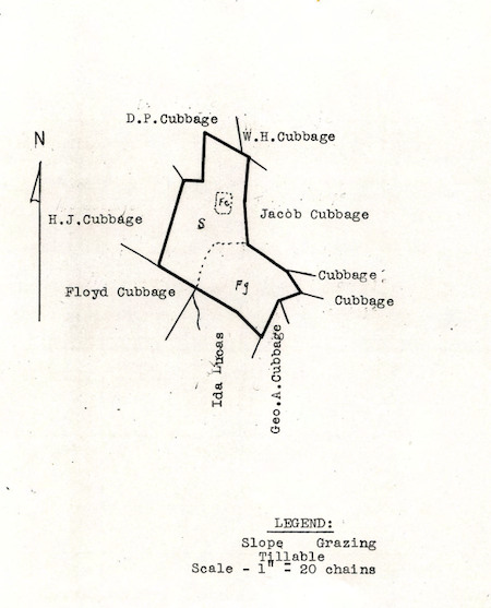 Cubbages claimed a large swath of acreage on the western side of today's Shenandoah National Park/NPS Archives
