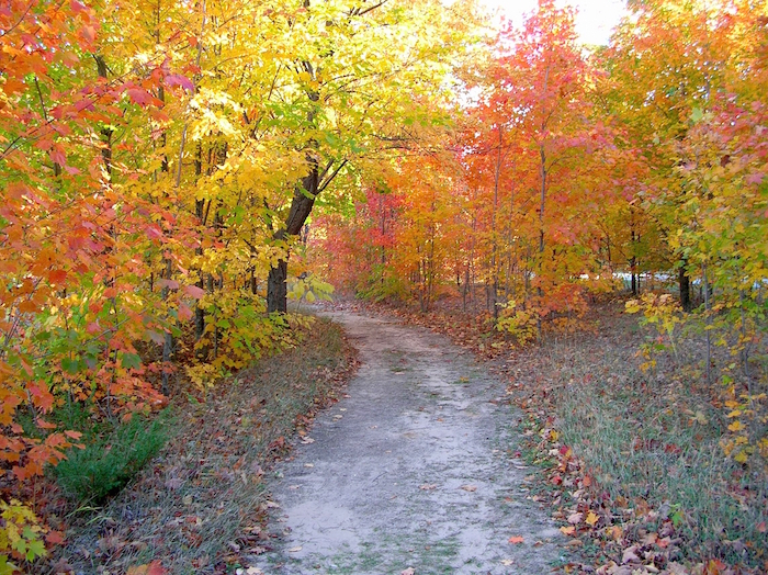 The Windy Moraine Trail at Sleeping Bear Dunes National Lakeshore/NPS