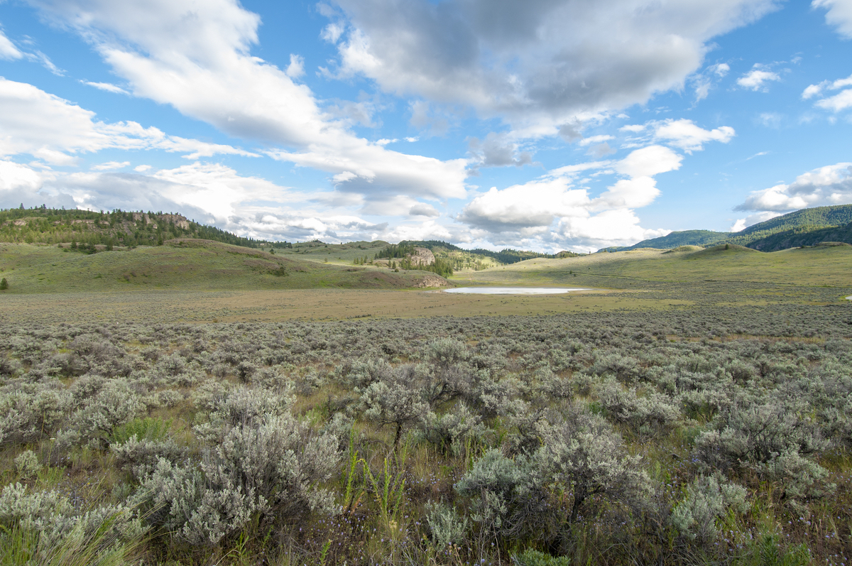 The working boundary of the proposed park reserve encompasses more than 270 square kilometres (27,300 hectares or 67,500 acres) of natural and cultural landscapes in southern British Columbia.