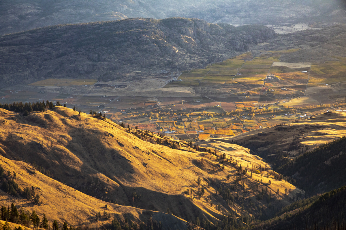The proposed park reserve contains large areas of mid-elevation habitat, which are often less affected by development than low elevation areas and contain more intact habitat for species at risk. 