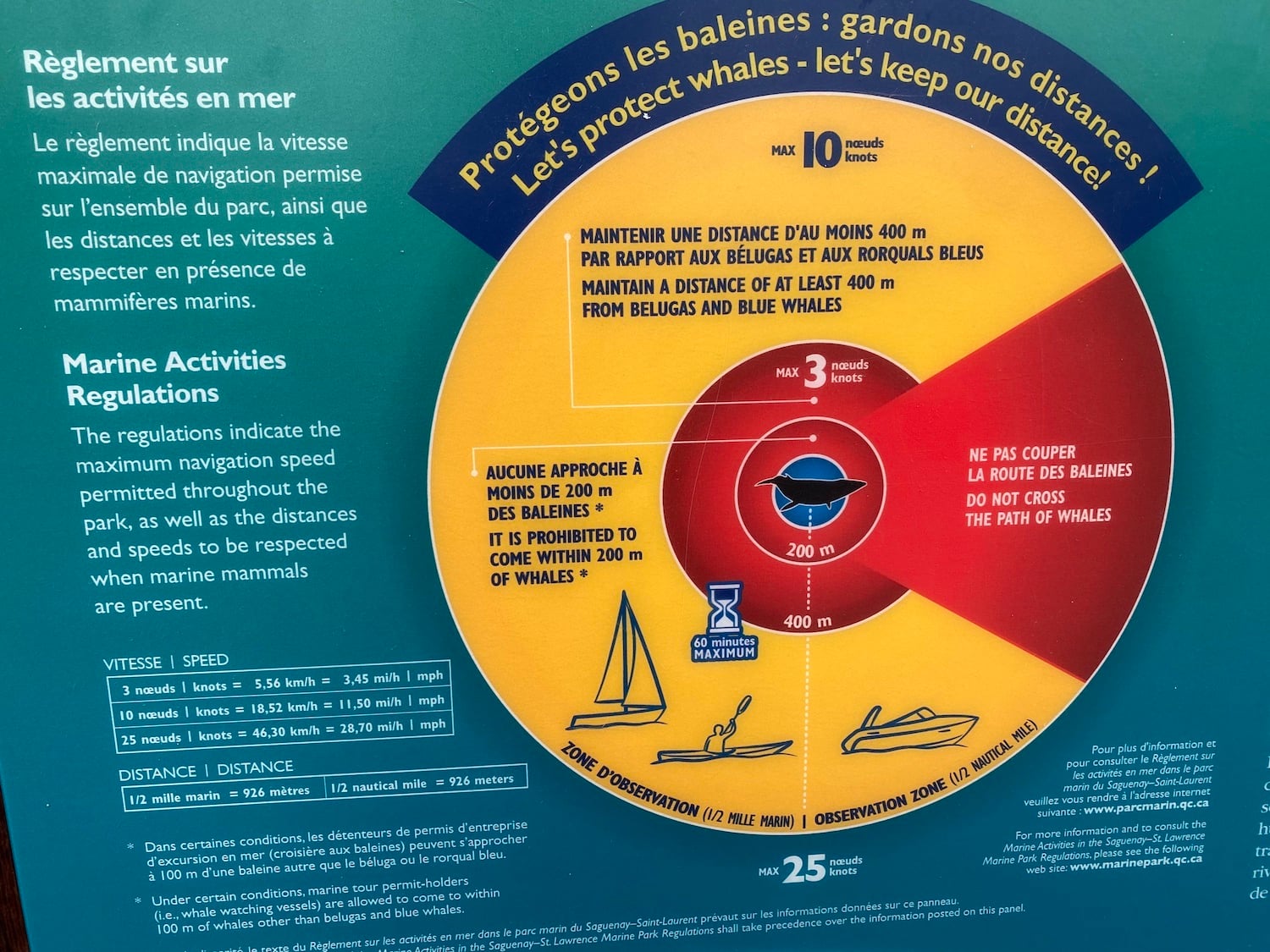 A variety of regulations help protect whales in Canada.