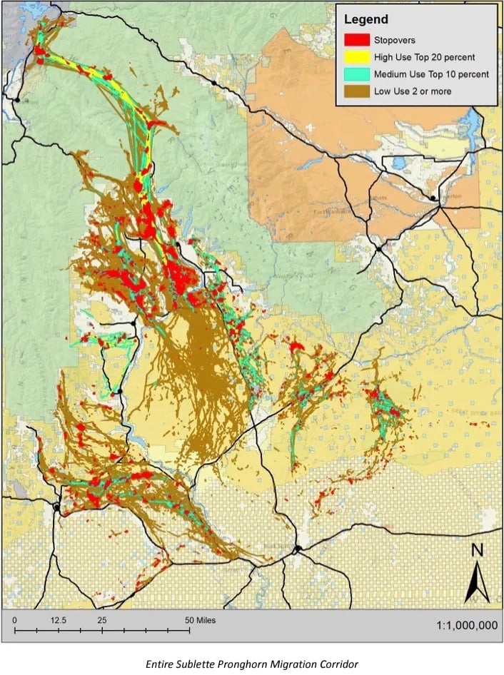 Until the deadly winter of 2022-’23, the Sublette Pronghorn Herd included roughly 40,000 animals, 75% of which were migratory. The corridors they use to migrate around the landscape are displayed here/Wyoming Game and Fish Department Until the deadly winter of 2022-’23, the Sublette Pronghorn Herd included roughly 40,000 animals, 75% of which were migratory. The corridors they use to migrate around the landscape are displayed here/Wyoming Game and Fish Department
